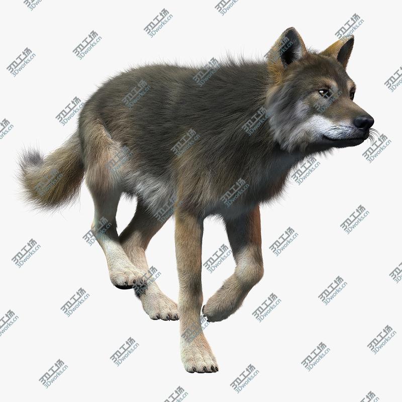 images/goods_img/2021040232/Gray Wolf(2)(FUR)(ANIMATED)/2.jpg